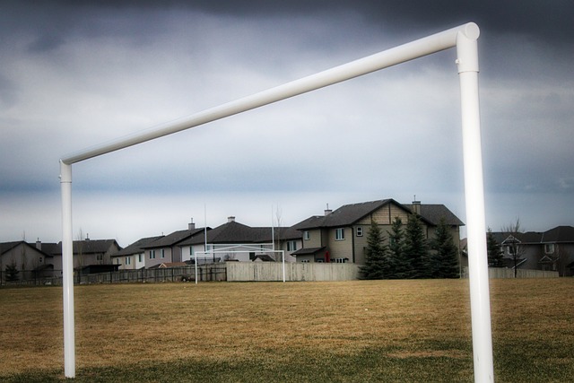 前锋单场双响助球队取胜