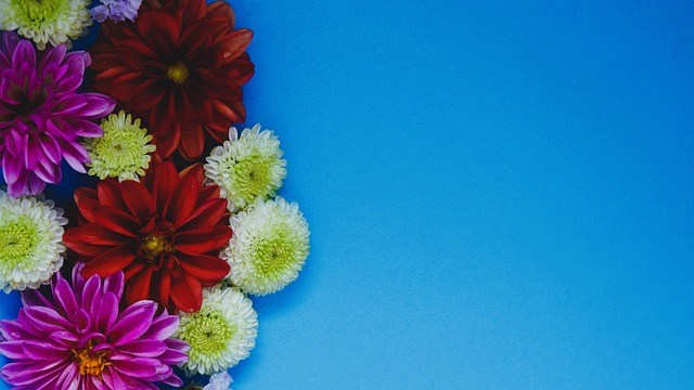 員的球員寥 員的球員寥