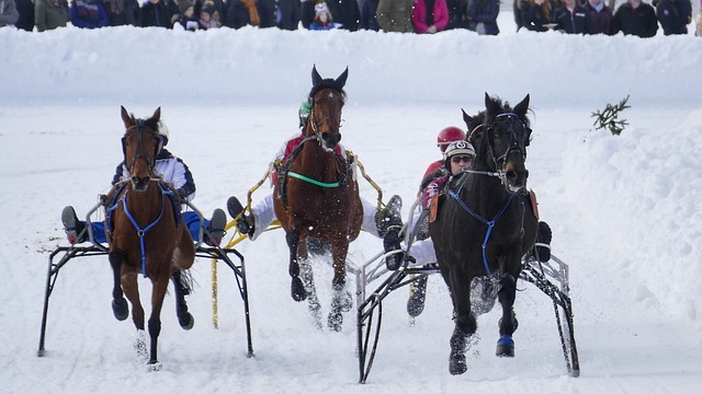 守的原则 守的原则