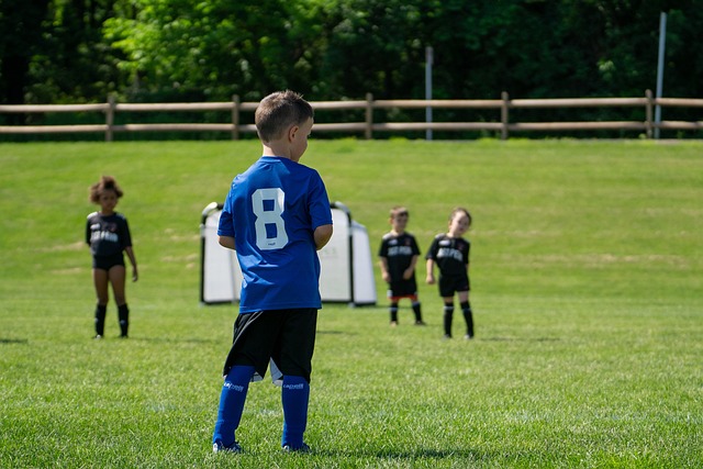籃球的無奈 籃球的無奈