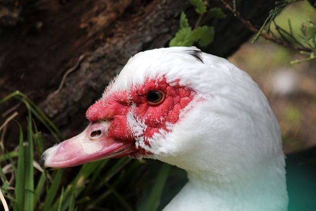 进一步补充 进一步补充